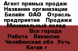 Агент прямых продаж › Название организации ­ Билайн, ОАО › Отрасль предприятия ­ Продажи › Минимальный оклад ­ 15 000 - Все города Работа » Вакансии   . Челябинская обл.,Усть-Катав г.